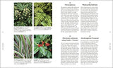 RHS A Plant for Every Day of the Year