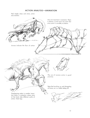 The Art of Animal Drawing: Construction, Action Analysis, Caricature