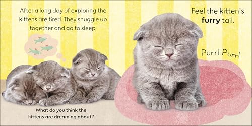Touch and Feel Baby Animals: With Tactiles for Toddlers to Explore