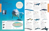 Animals: A Children's Encyclopedia