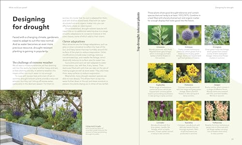 The Raised Bed Book: Get the Most from Your Raised Bed, Every Step of the Way