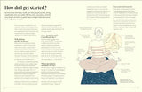 Meditation for the Real World: Finding Peace in Everyday Life