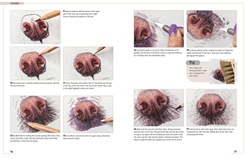 Drawing Animal Portraits in Coloured Pencil - Retail Maharaj