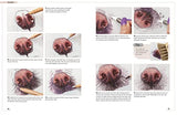 Drawing Animal Portraits in Coloured Pencil - Retail Maharaj