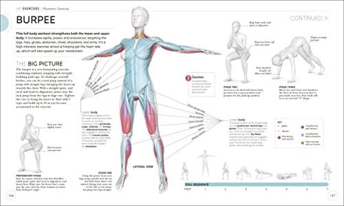 Science of HIIT: Understand the Anatomy and Physiology to Transform Your Body