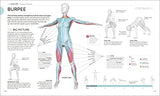 Science of HIIT: Understand the Anatomy and Physiology to Transform Your Body