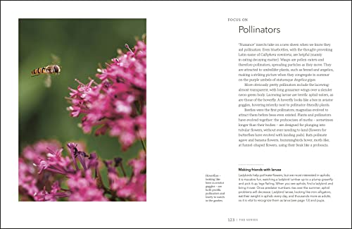 Garden for the Senses: How Your Garden Can Soothe Your Mind and Awaken Your Soul