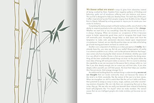 The Resilience Journal: 365 Days to Balance and Peace of Mind