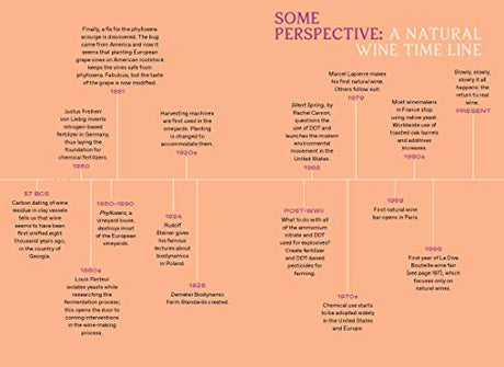 Natural Wine for the People: What It Is, Where to Find It, How to Love It - Retail Maharaj