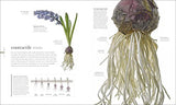 The Science of Plants: Inside their Secret World