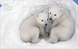 Born to be Wild: How Baby Animals Survive and Thrive