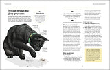 What's My Cat Thinking?: Understand Your Cat to Give Them a Happy Life