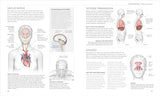 Science of Yoga: Understand the Anatomy and Physiology to Perfect Your Practice