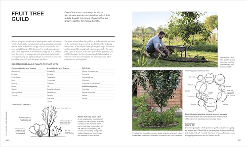 The Permaculture Garden: A Practical Approach to Year-round Harvests