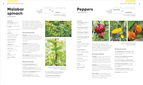 RHS Grow Food Anywhere: How to Plant the Right Crops in the Right Place and Help Your Garden Thrive