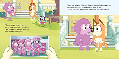 Bluey: Baby Race