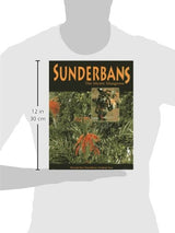 Sunderbans: The Mystic Mangrove - Retail Maharaj