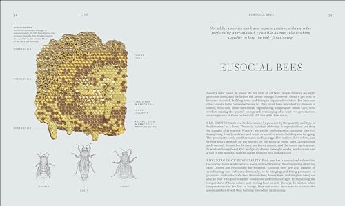 RES Insects: Discover the Science and Secrets Behind the World of Insects