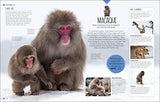 Born to be Wild: How Baby Animals Survive and Thrive