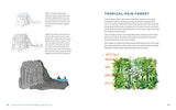 Peggy Dean's Guide to Nature Drawing and Watercolor: Learn to Sketch, Ink, and Paint Flowers, Plants, Trees, and Animals