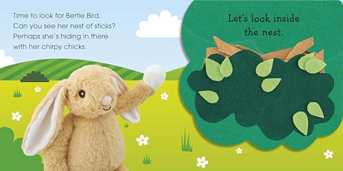 Pop-Up Peekaboo! Bunny