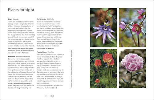 Garden for the Senses: How Your Garden Can Soothe Your Mind and Awaken Your Soul