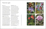 Garden for the Senses: How Your Garden Can Soothe Your Mind and Awaken Your Soul