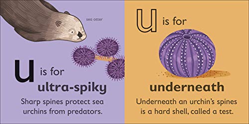 U is for Urchin - Retail Maharaj