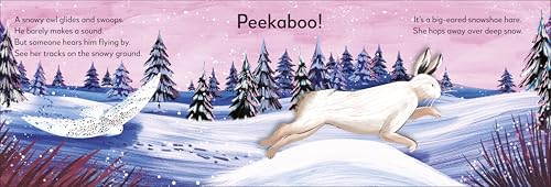 Pop-up Peekaboo! Winter: Pop-Up Surprise Under Every Flap!