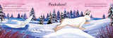 Pop-up Peekaboo! Winter: Pop-Up Surprise Under Every Flap!