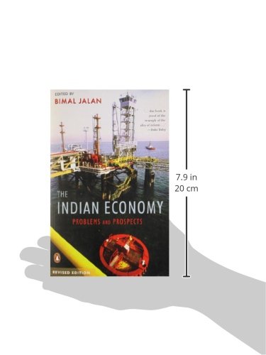 The India Economy: Problems and Prospects