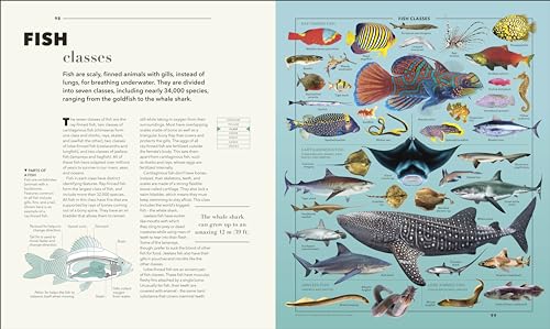 Knowledge A Visual Compendium: Making Sense of our World