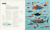 Knowledge A Visual Compendium: Making Sense of our World