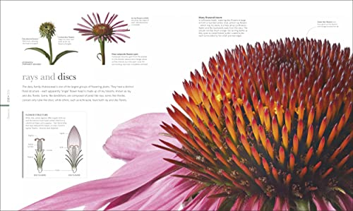 The Science of Plants: Inside their Secret World