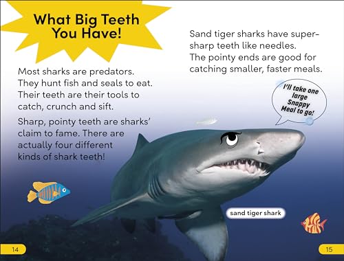 DK Super Readers Level 2 Snarky Shark