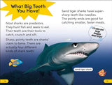 DK Super Readers Level 2 Snarky Shark