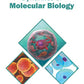 Dynamics of Molecular Biology