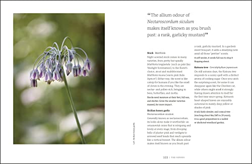 Garden for the Senses: How Your Garden Can Soothe Your Mind and Awaken Your Soul