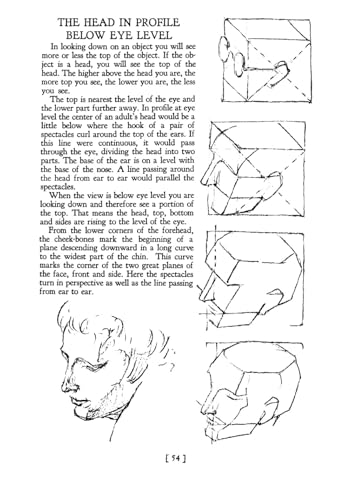 Heads, Features and Faces