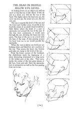 Heads, Features and Faces