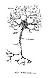 Introduction to Artificial Intelligence: Third Edition (Dover Books on Computer Science)