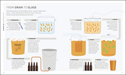 Home Brew Beer