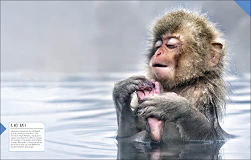 Born to be Wild: How Baby Animals Survive and Thrive