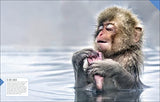 Born to be Wild: How Baby Animals Survive and Thrive