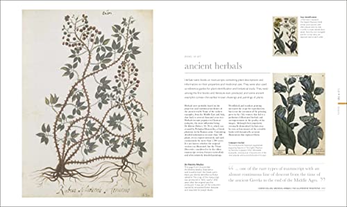 The Science of Plants: Inside their Secret World