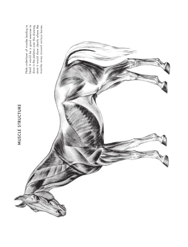 The Art of Animal Drawing: Construction, Action Analysis, Caricature