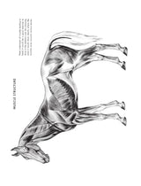 The Art of Animal Drawing: Construction, Action Analysis, Caricature