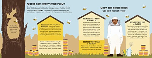 The Bee Book (Conservation for Kids)