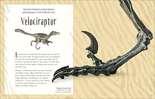 Dinosaurs and Other Prehistoric Life (DK Children's Anthologies) - Retail Maharaj