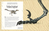 Dinosaurs and Other Prehistoric Life (DK Children's Anthologies) - Retail Maharaj